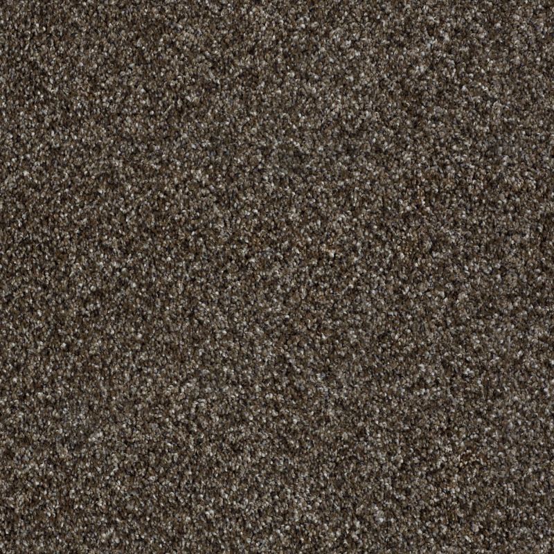 Shaw Floors Simply The Best Because We Can I 12' Mystic River
