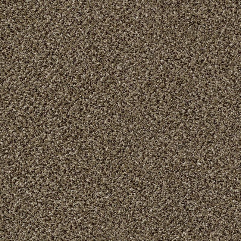 Shaw Floors Simply The Best Because We Can III 12' Pinecone