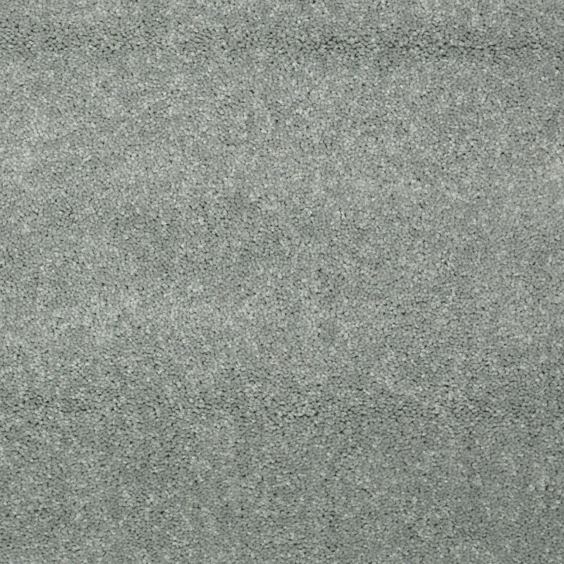 Shaw Floors Value Collections Dyersburg Classic 15' Net Haze
