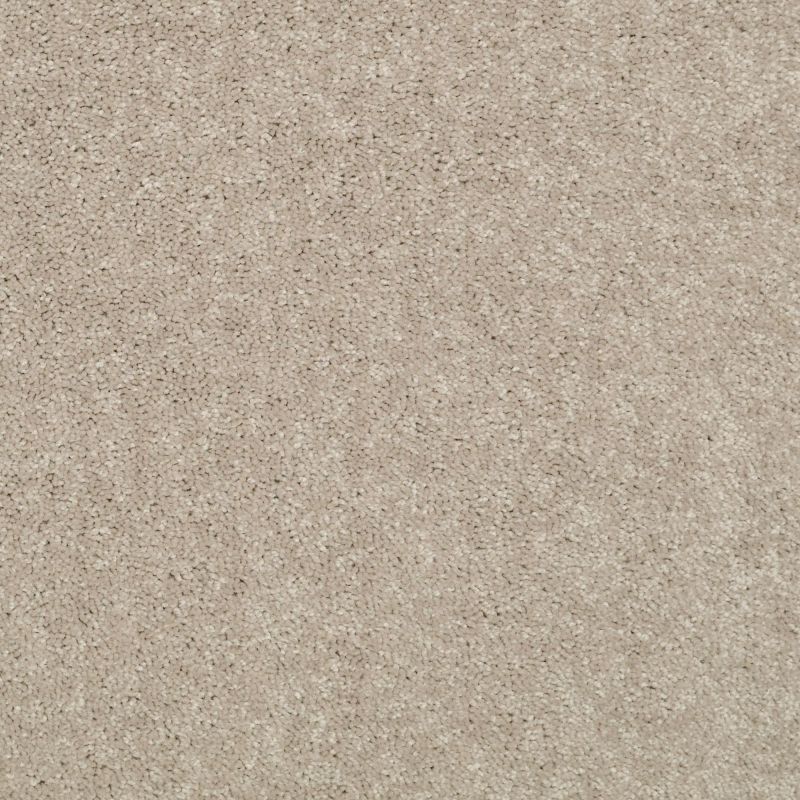 Shaw Floors Value Collections Dyersburg Classic 15' Net Plaster