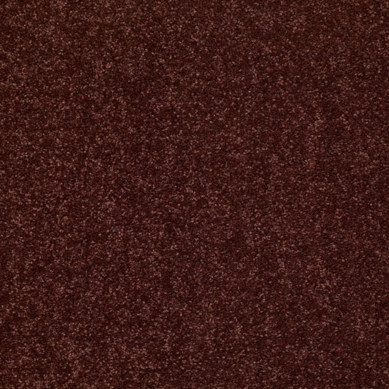 Shaw Floors Value Collections Dyersburg Classic 15' Net Coffee