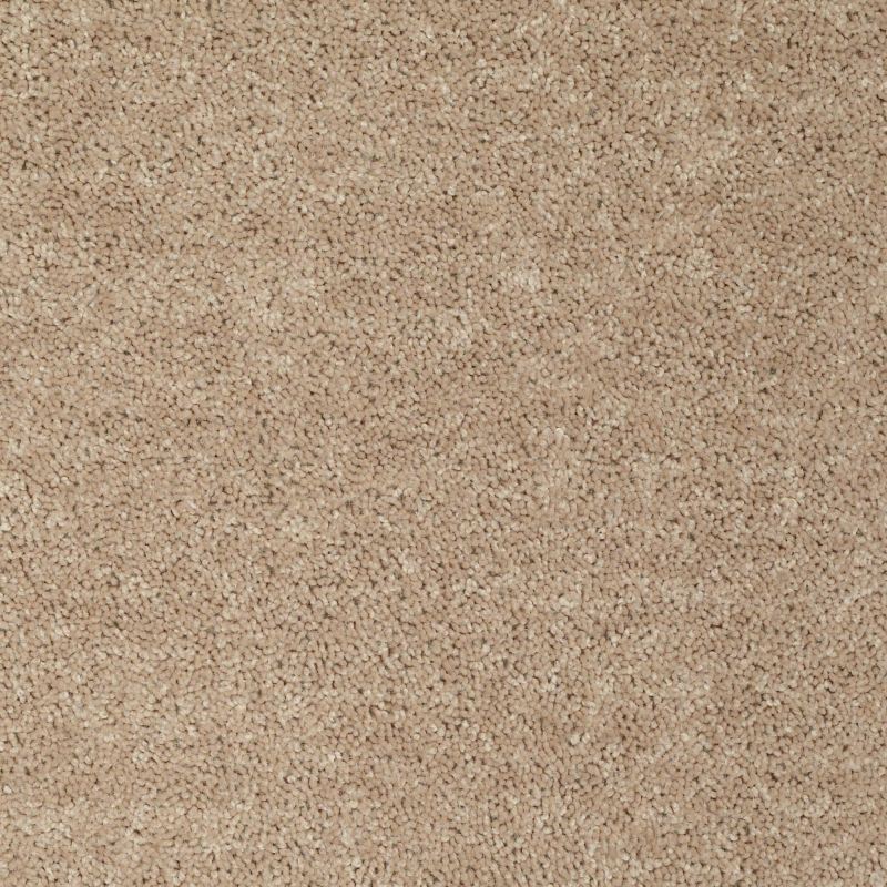 Shaw Floors Value Collections Briceville Classic 12' Net Wild Dune