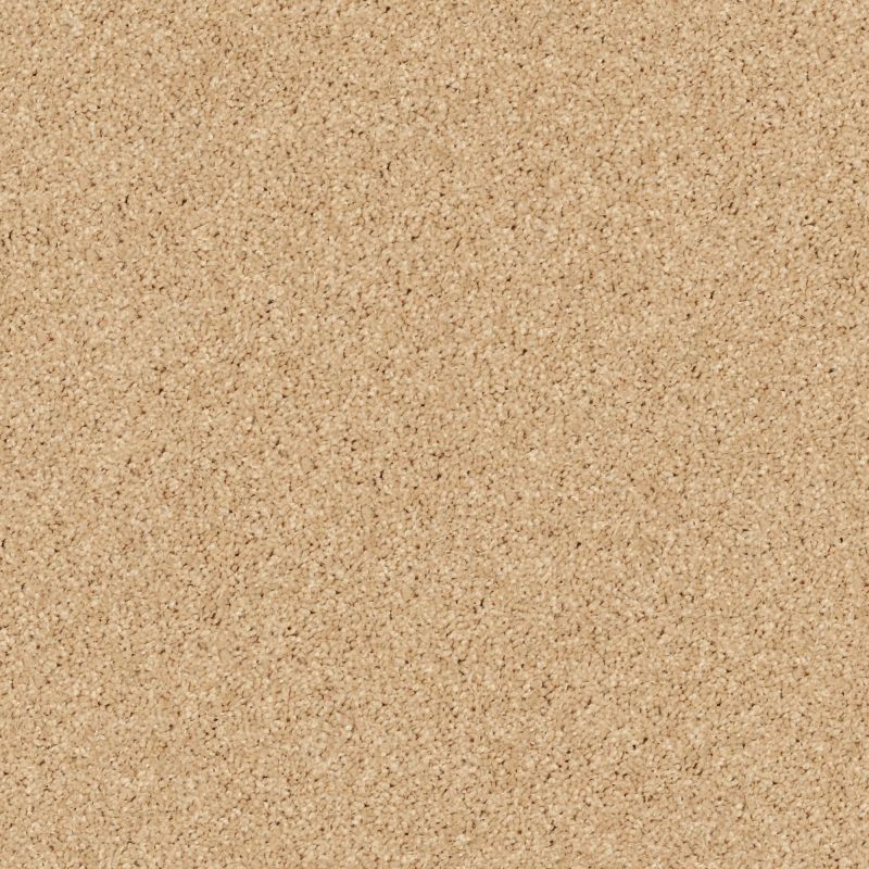 Shaw Floors Value Collections Briceville Classic 12' Net Sun Beam