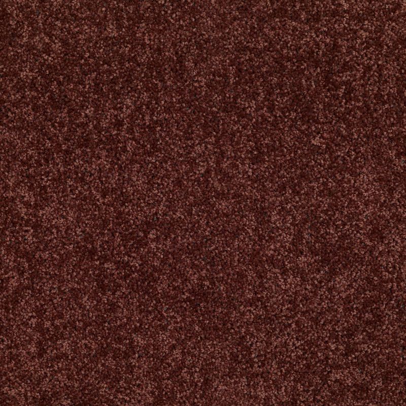 Shaw Floors Value Collections Briceville Classic 12' Net Coffee
