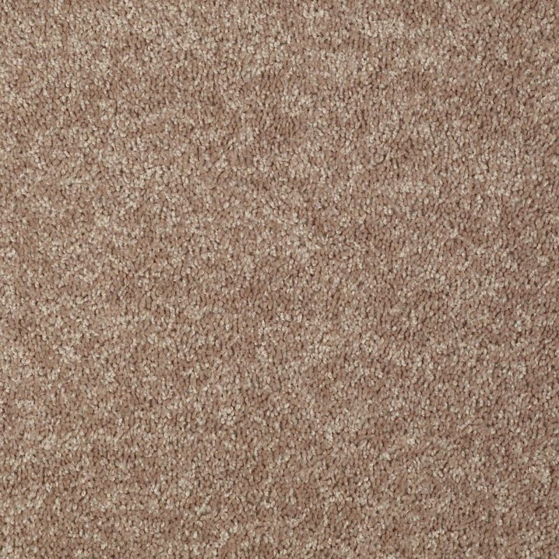 Shaw Floors Value Collections Briceville Classic 12' Net Dusty Trail
