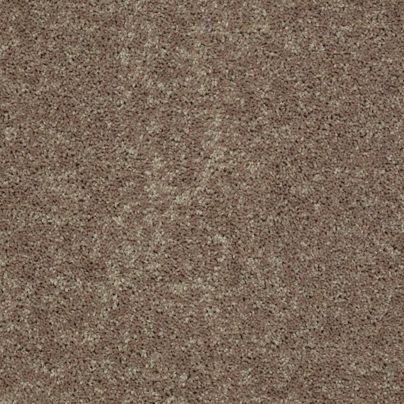 Shaw Floors Value Collections Briceville Classic 15' Net Hearth Stone