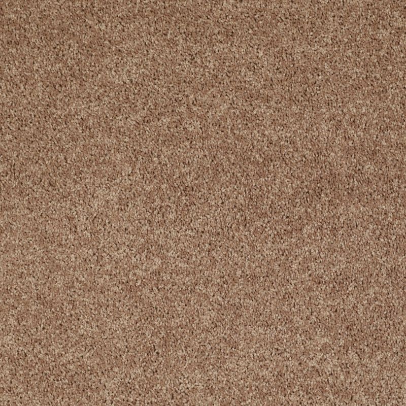 Shaw Floors Value Collections Briceville Classic 15' Net Eagles Nest