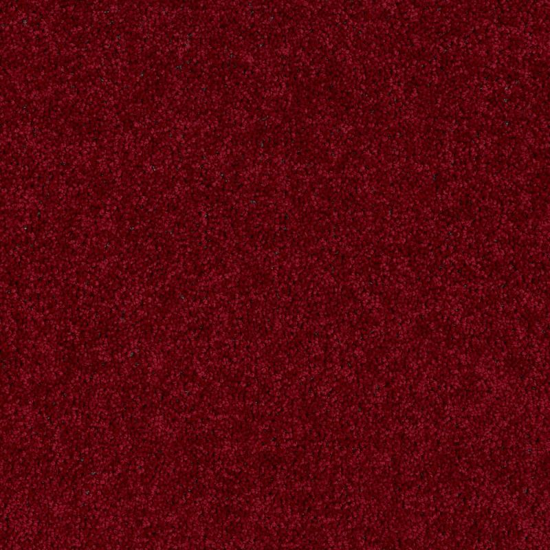 Shaw Floors Value Collections Briceville Classic 15' Net Crimson