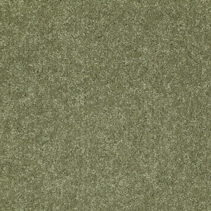 Shaw Floors Value Collections Newbern Classic 12' Net Going Green