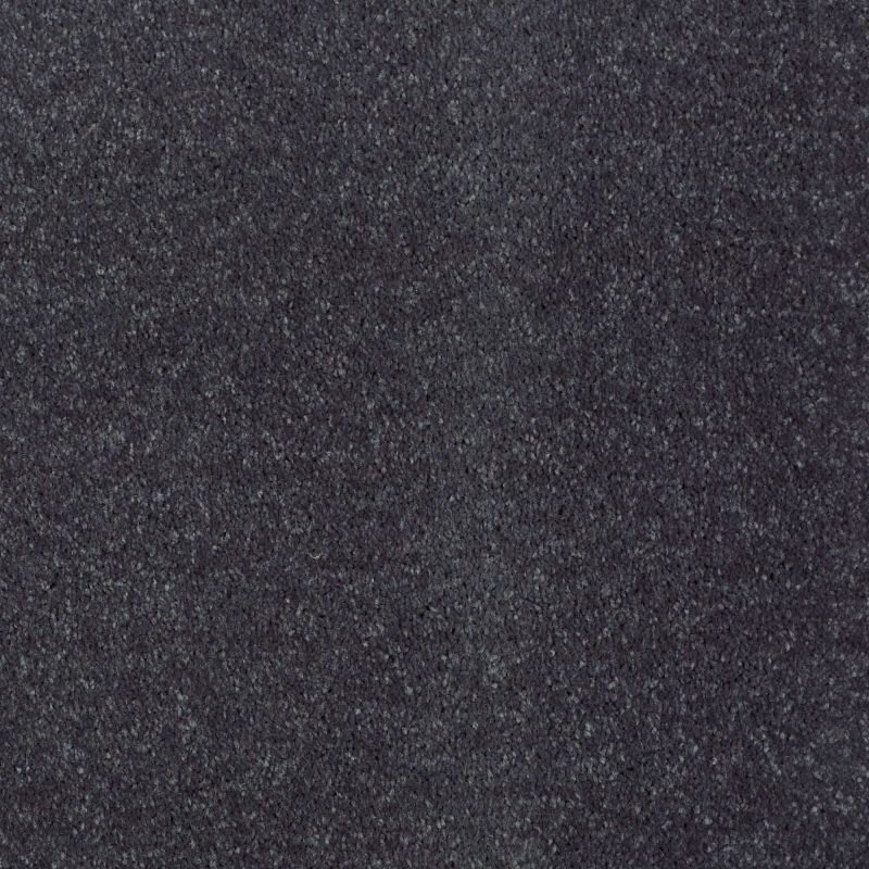 Shaw Floors Value Collections Newbern Classic 12' Net Steel Beam
