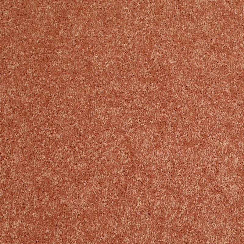 Shaw Floors Value Collections Newbern Classic 12' Net Sunburst