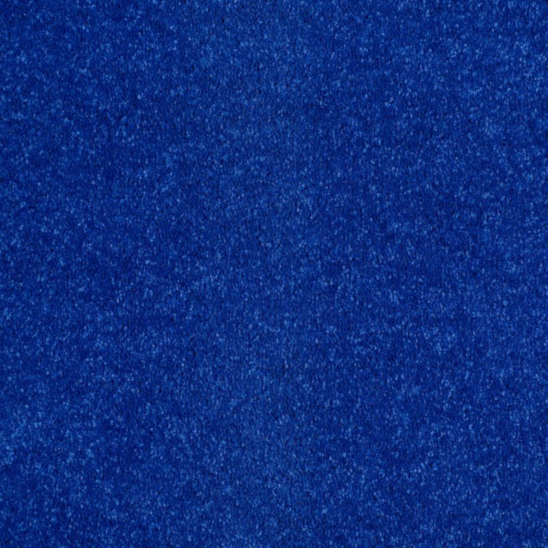 Shaw Floors Value Collections Newbern Classic 12' Net Cobalt