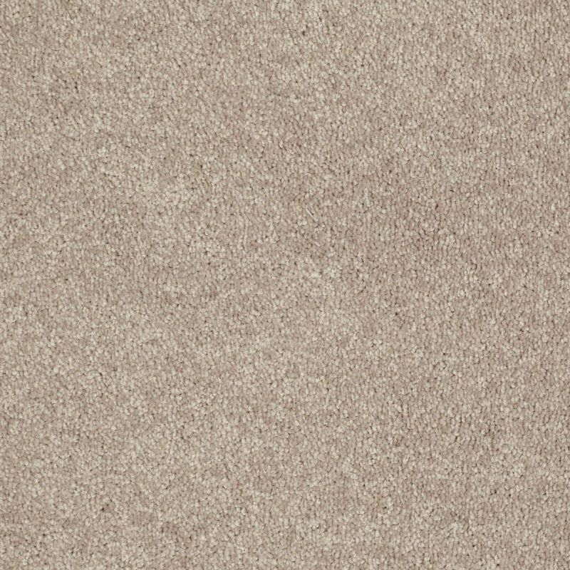 Shaw Floors Value Collections Newbern Classic 12' Net Plaster