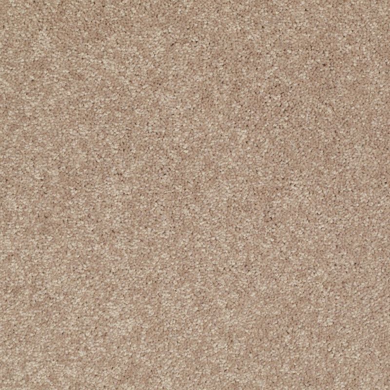 Shaw Floors Value Collections Newbern Classic 12' Net Dusty Trail