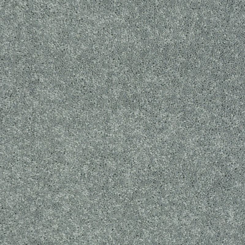 Shaw Floors Value Collections Newbern Classic 15' Net Haze