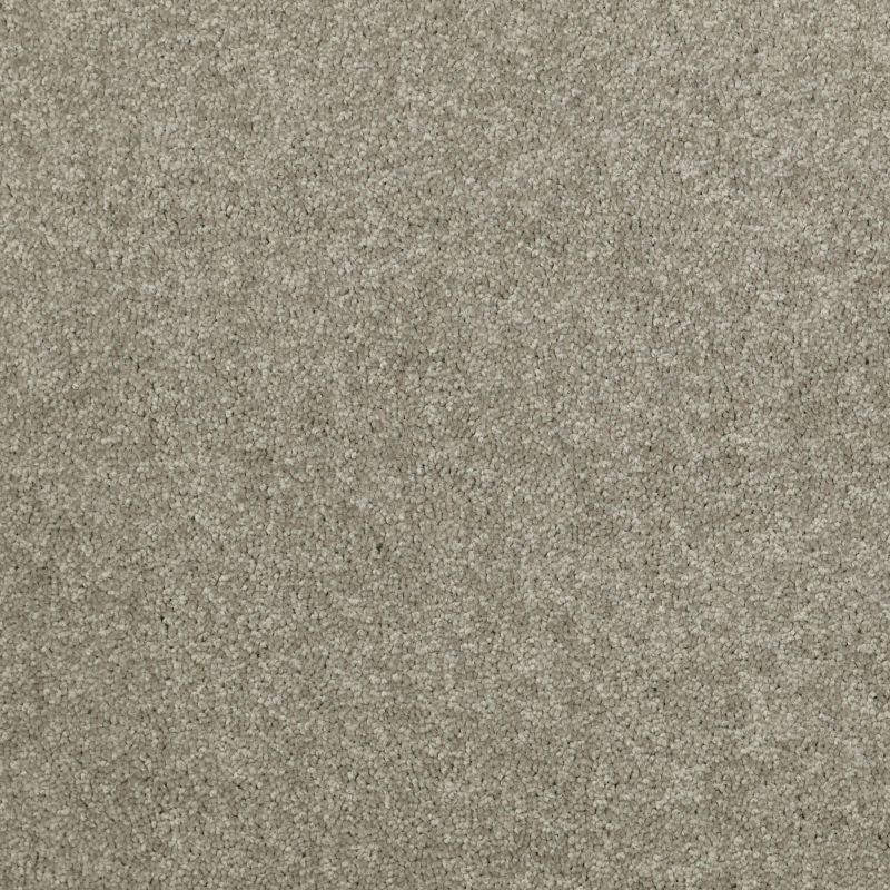 Shaw Floors Value Collections Newbern Classic 15' Net Suede