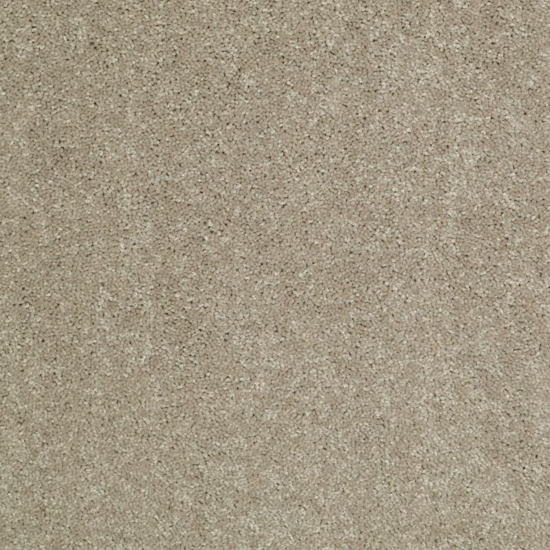 Shaw Floors Value Collections Newbern Classic 15' Net Fossil
