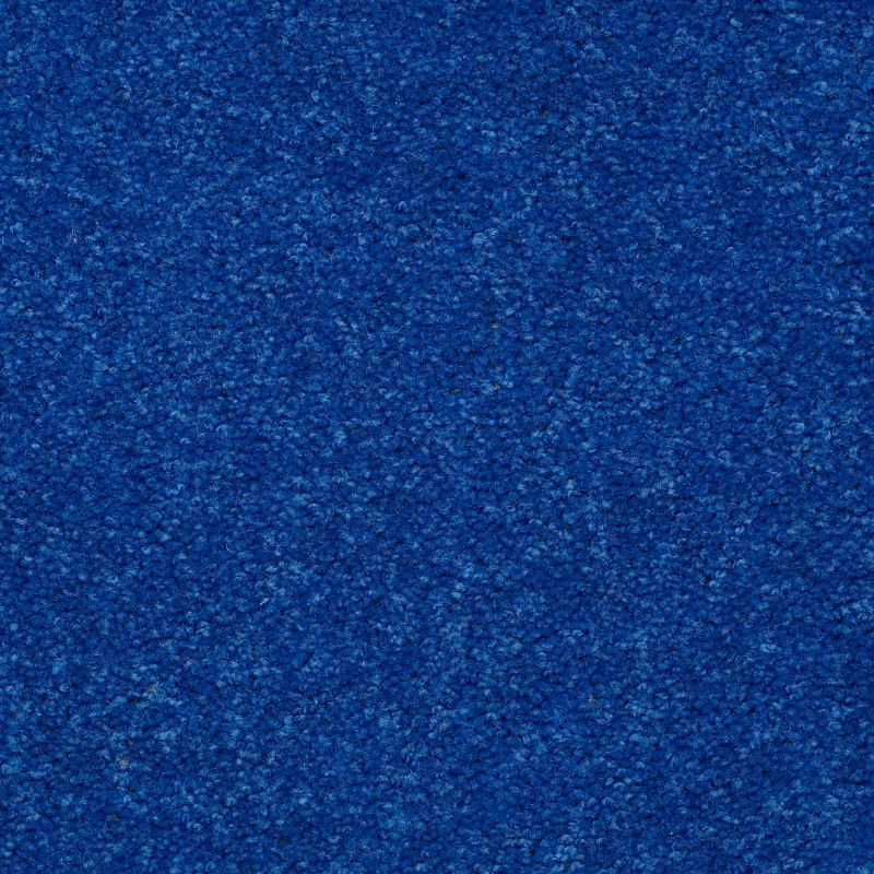 Shaw Floors Value Collections Newbern Classic 15' Net Cobalt
