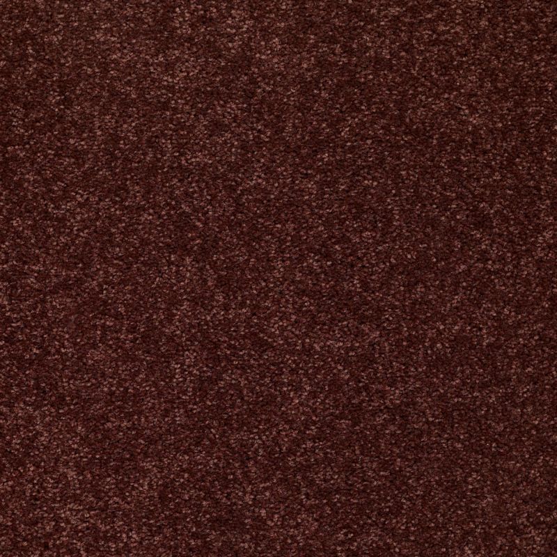 Shaw Floors Value Collections Newbern Classic 15' Net Coffee