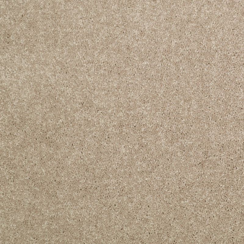 Shaw Floors Value Collections Newbern Classic 15' Net Dusty Trail