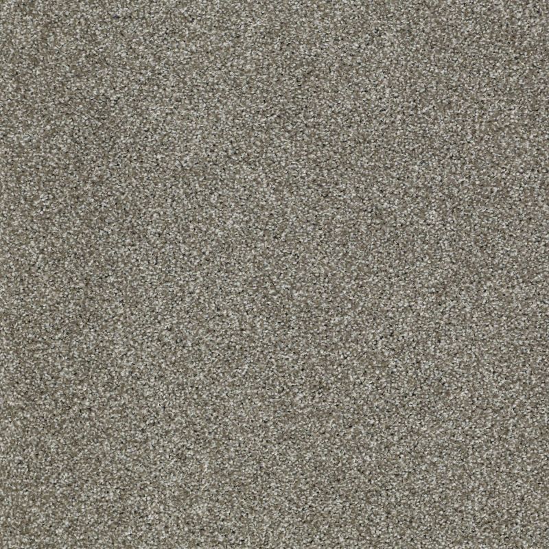 Shaw Floors Value Collections Picturesque Net Pewter