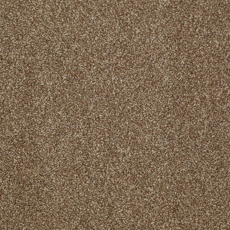 Shaw Floors Value Collections Picturesque Net Travertine