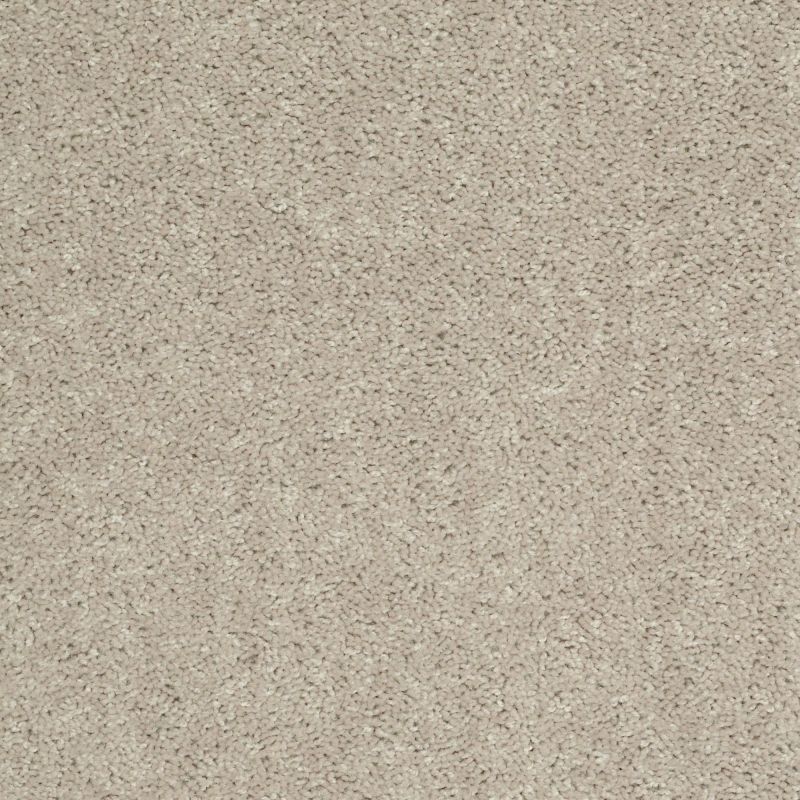 Shaw Floors Value Collections Fielder's Choice 12 Net Misty Taupe