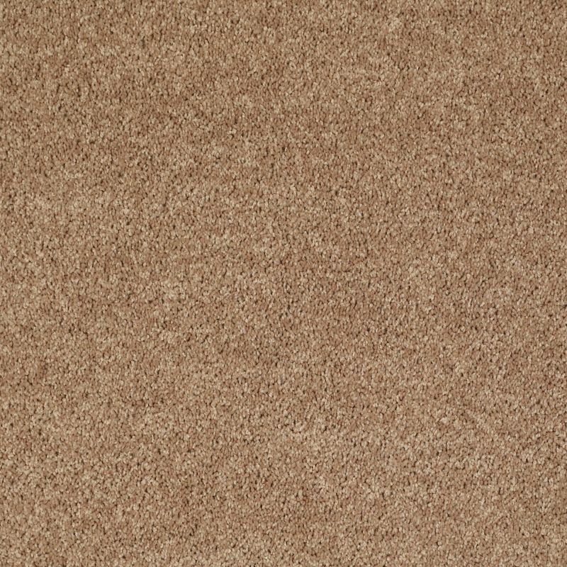 Shaw Floors Value Collections Fielder's Choice 12 Net Cider