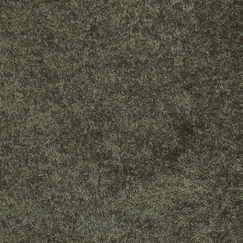Shaw Floors Value Collections Fielder's Choice 12 Net Hedges