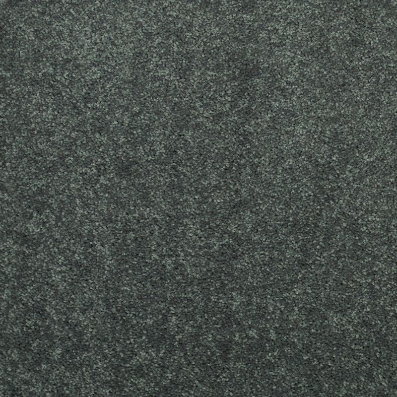 Shaw Floors Value Collections Dyersburg Classic 12 Net Steel Beam