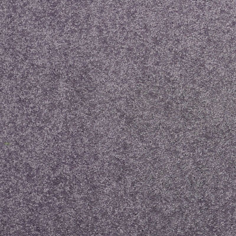 Shaw Floors Value Collections Dyersburg Classic 12 Net Violet Crush