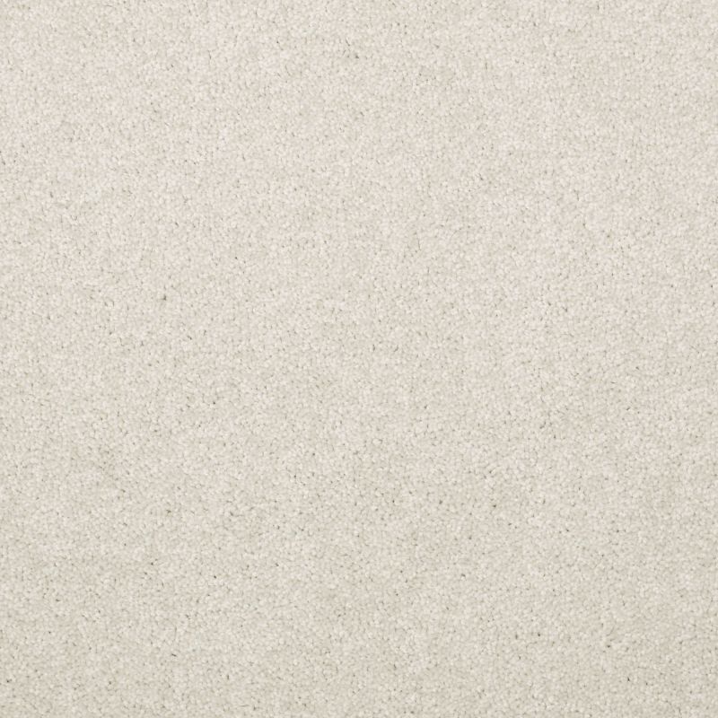 Shaw Floors Value Collections Dyersburg Classic 12 Net Taupe
