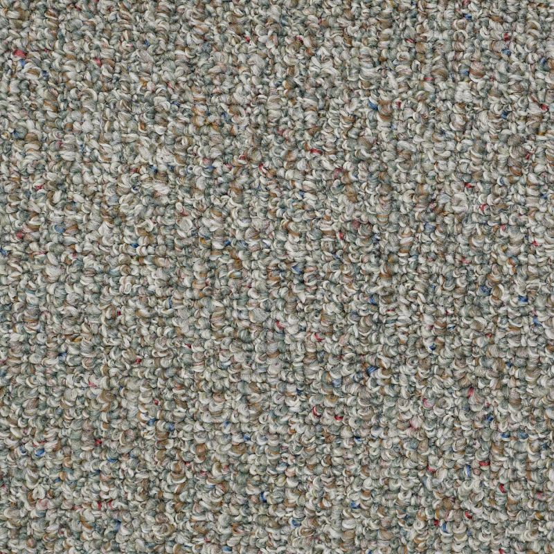 Shaw Floors Value Collections Pure Waters 12' Net Secret Garden
