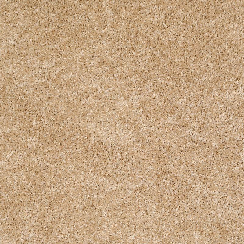 Shaw Floors Commercial Hardwood Vitalize (s) Net Decoupage