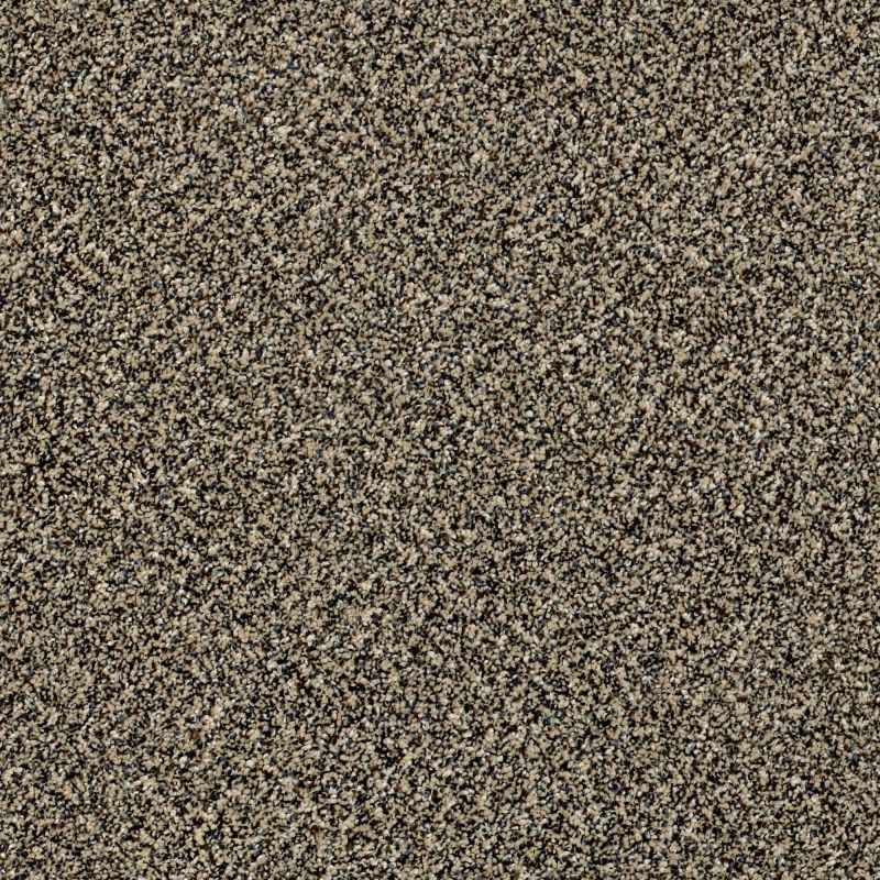 Shaw Floors Value Collections Because We Can II 12' Net Muffin Top