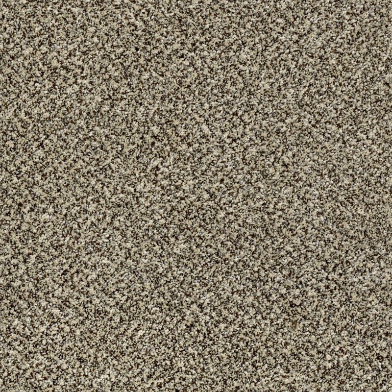 Shaw Floors Value Collections Because We Can II 15' Net Cape Town