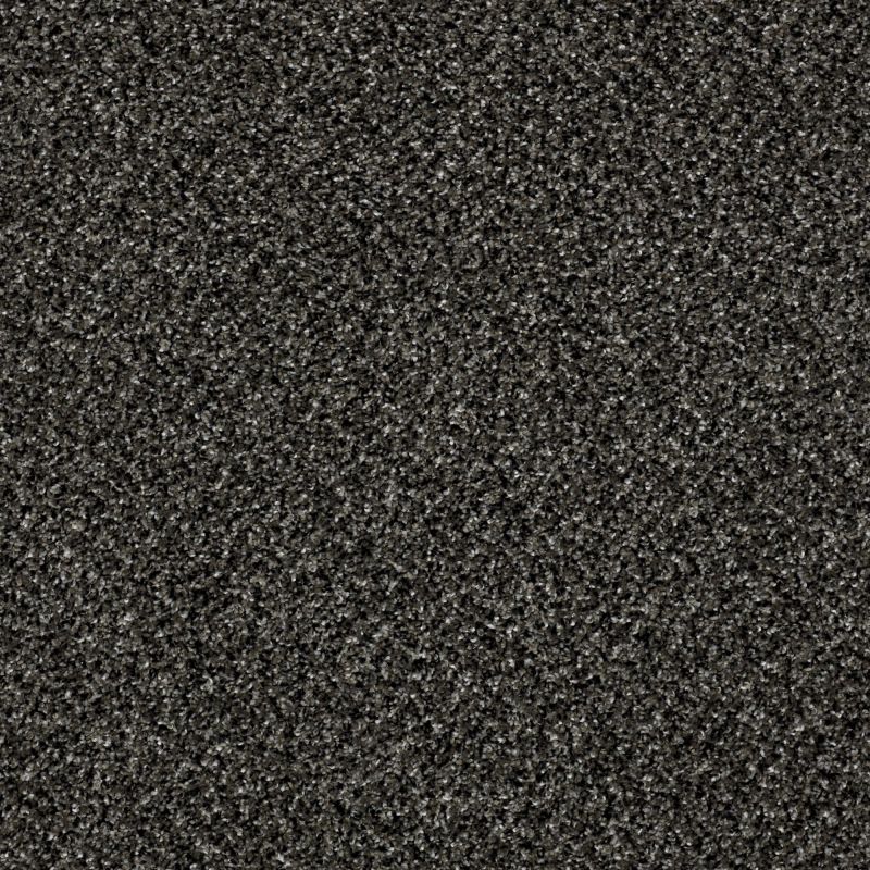 Shaw Floors Value Collections Because We Can III 15' Net Iron Age