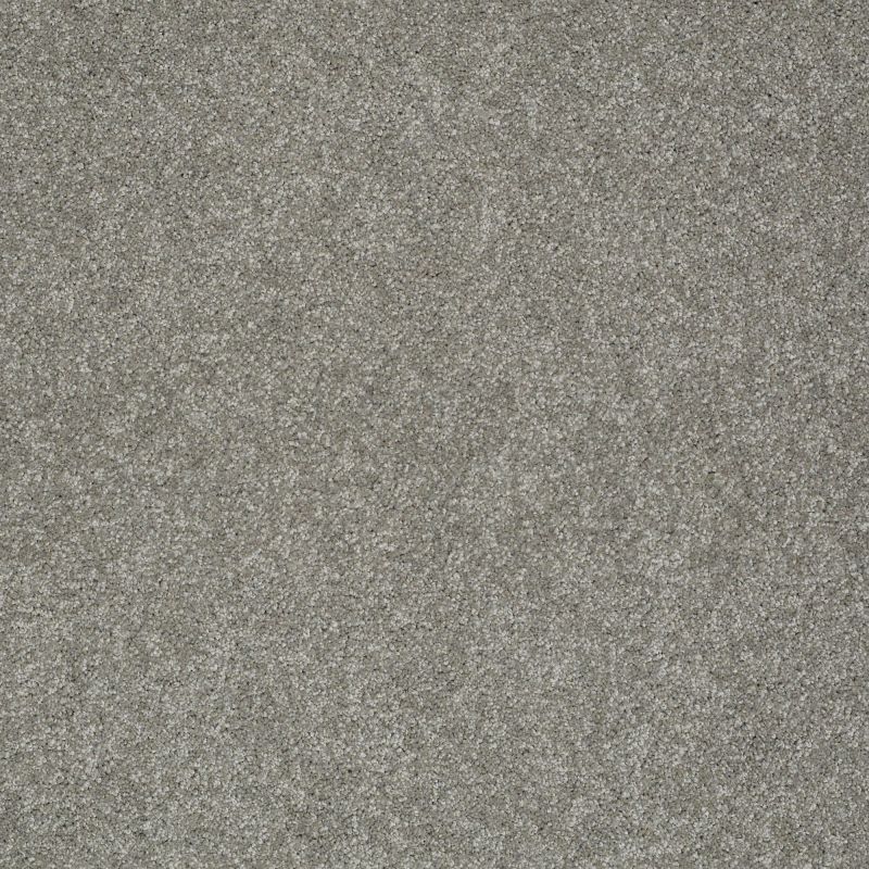 Shaw Floors Value Collections Gold Texture Net London