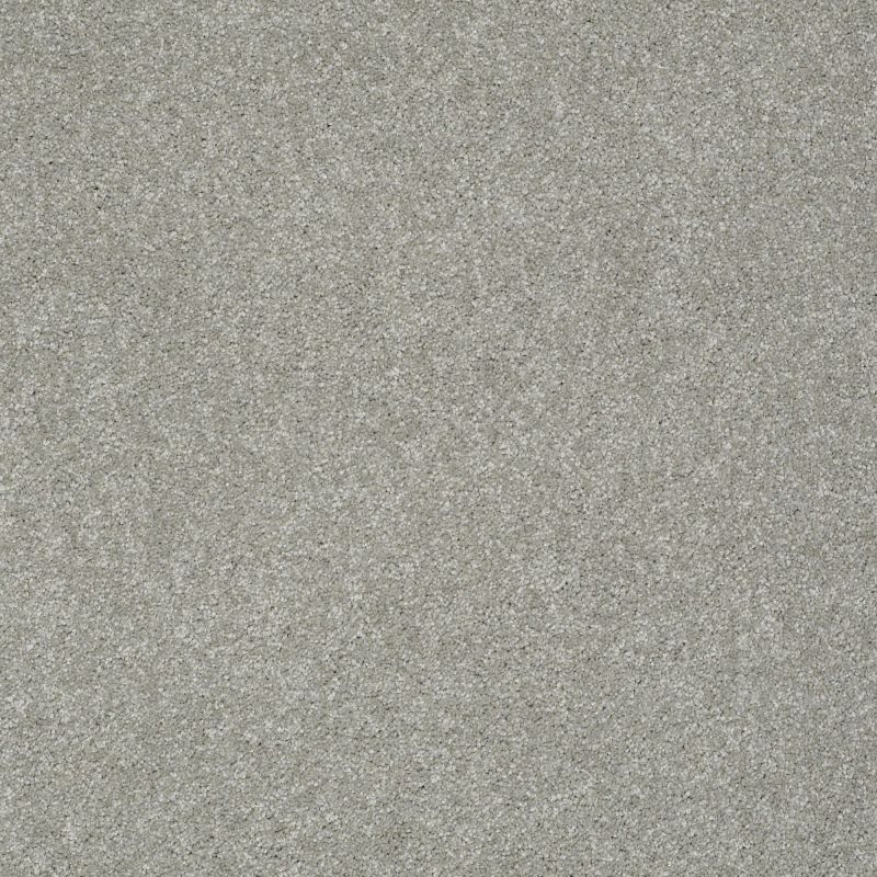 Shaw Floors Value Collections Platinum Texture 12' Net Elephant Gray