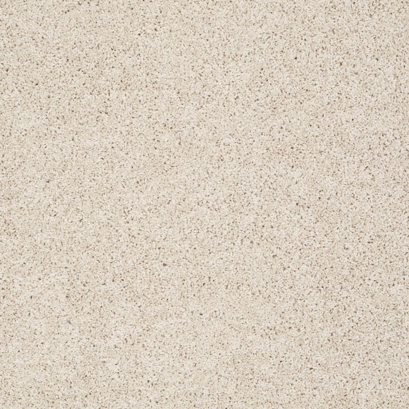 Shaw Floors Value Collections Gold Twist Net Dunes