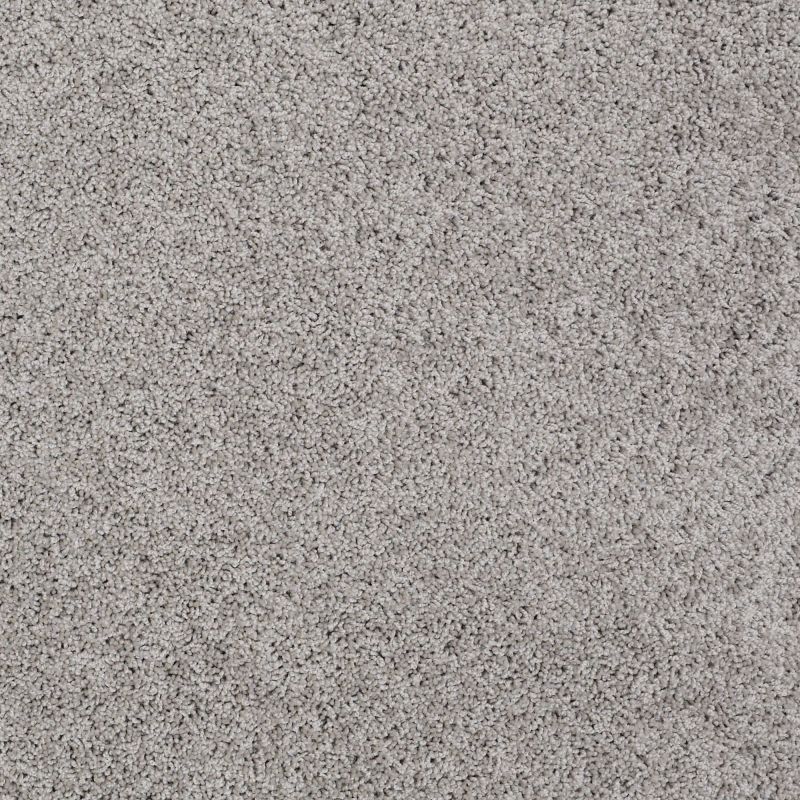 Shaw Floors Value Collections Gold Twist Net When In Rome