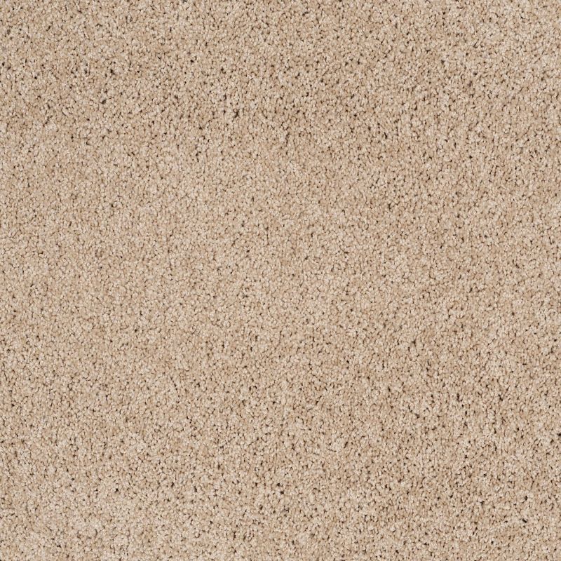 Shaw Floors Value Collections Platinum Twist Net Natural Wood