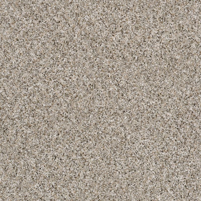 Shaw Floors Simply The Best Frosting Glacier