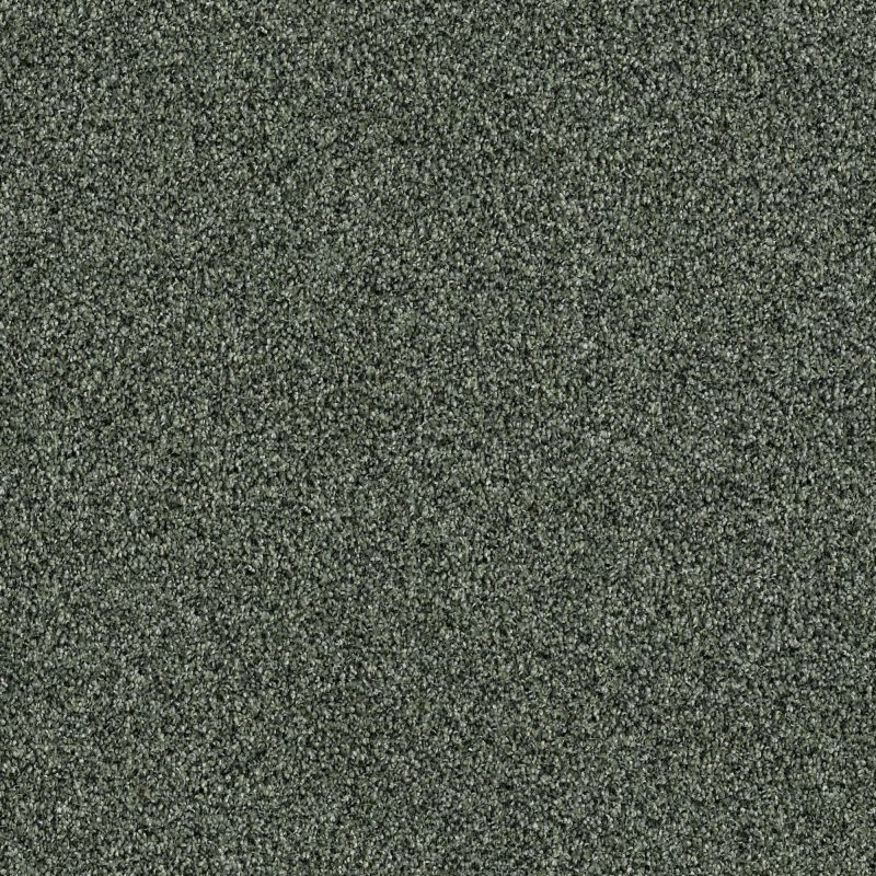 Shaw Floors Foundations Palette Lush