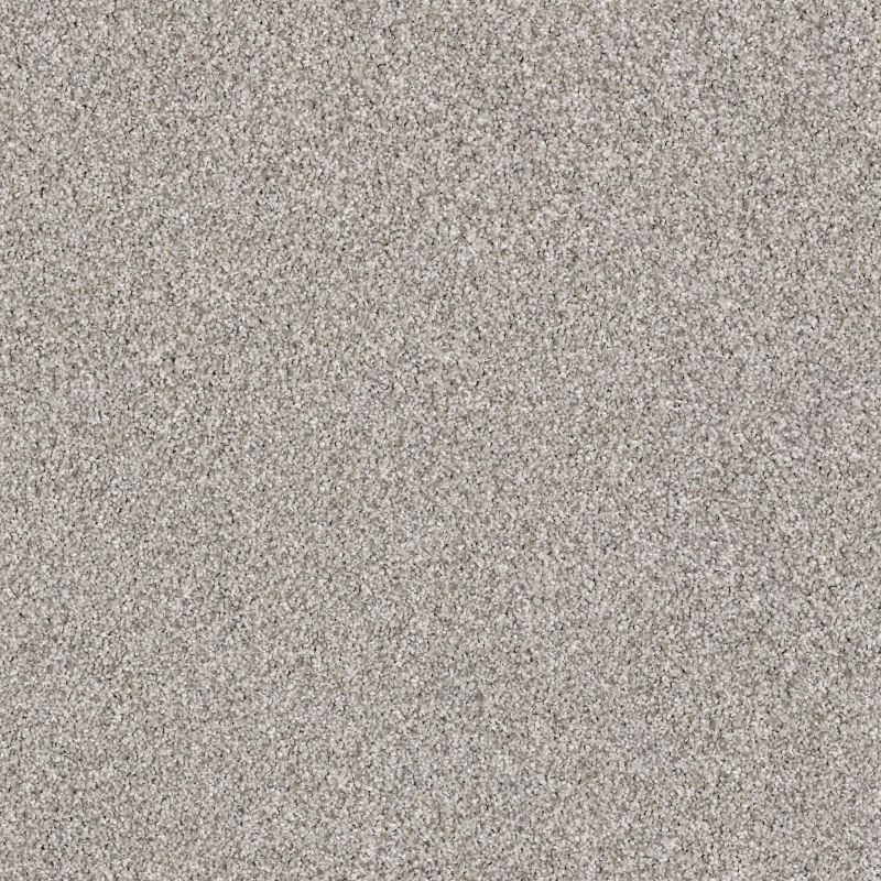 Shaw Floors Foundations Palette Opal Gray