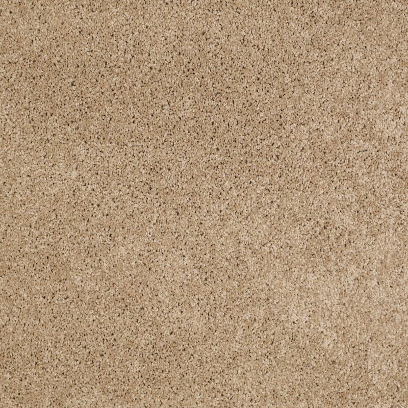 Shaw Floors Value Collections Origins II Net Almond Tone