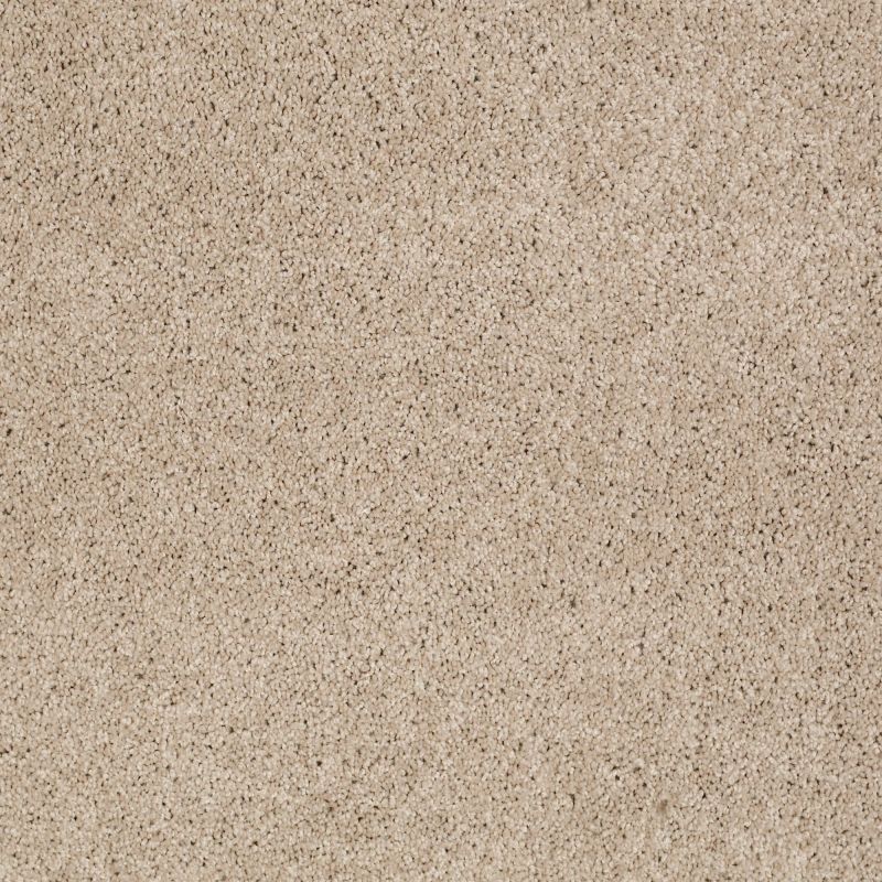 Shaw Floors Value Collections Origins II Net Ice Coffee
