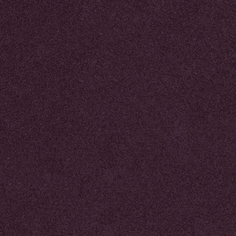Shaw Floors Value Collections Origins II Net Grape Fizz