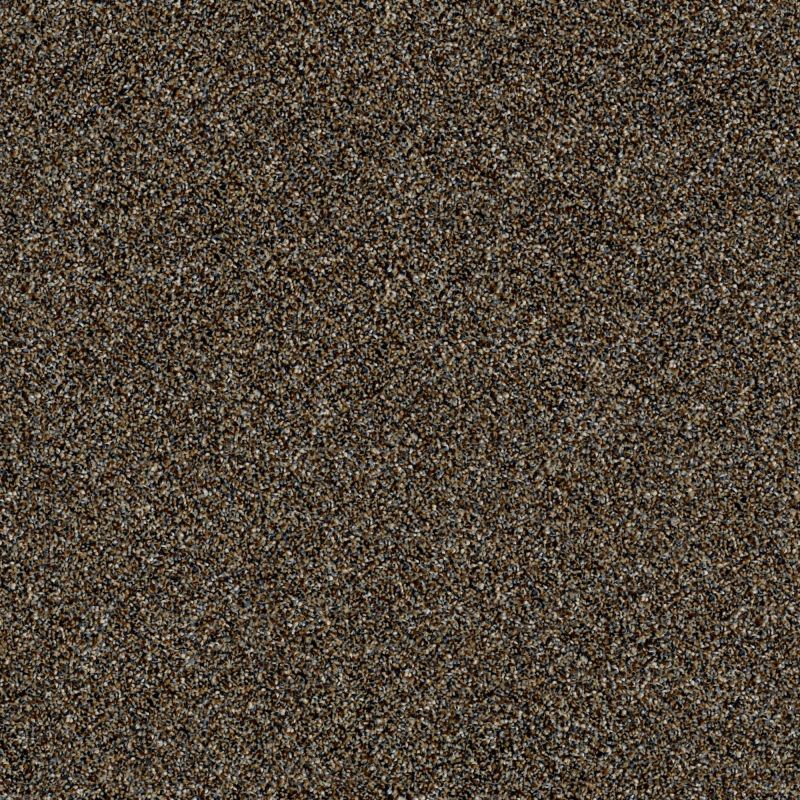 Shaw Floors Simply The Best Of Course We Can III 12' River Walk