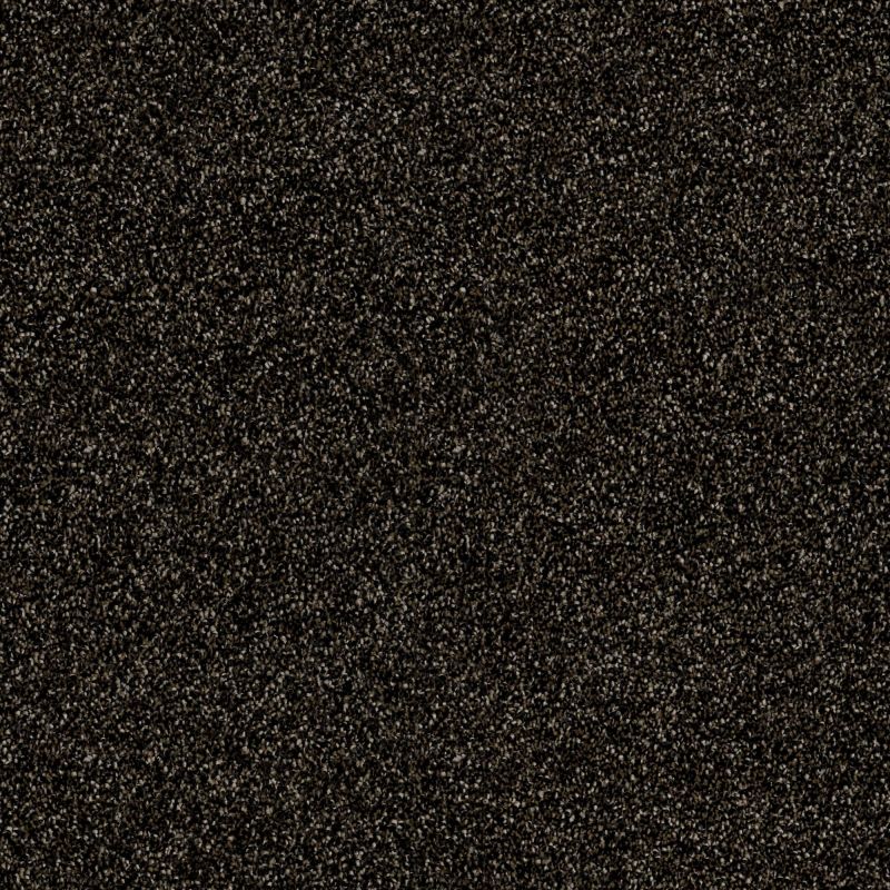 Shaw Floors Simply The Best Of Course We Can III 12' Rich Earth